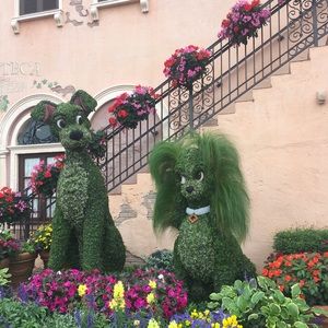 Meet your Posher, Yeltsy